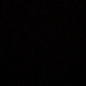 Meet your Posher, Sonya